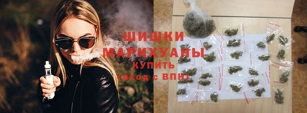 ПСИЛОЦИБИНОВЫЕ ГРИБЫ Абаза