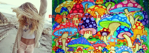 ПСИЛОЦИБИНОВЫЕ ГРИБЫ Абаза