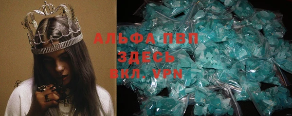 ПСИЛОЦИБИНОВЫЕ ГРИБЫ Абаза