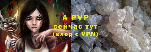 ПСИЛОЦИБИНОВЫЕ ГРИБЫ Абаза