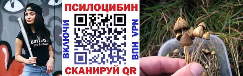 mega онион  Клинцы  Псилоцибиновые грибы мухоморы 
