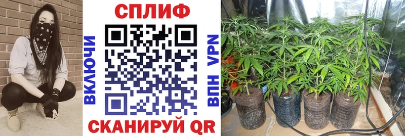 OMG ссылки  как найти наркотики  Клинцы  Бошки марихуана Amnesia 